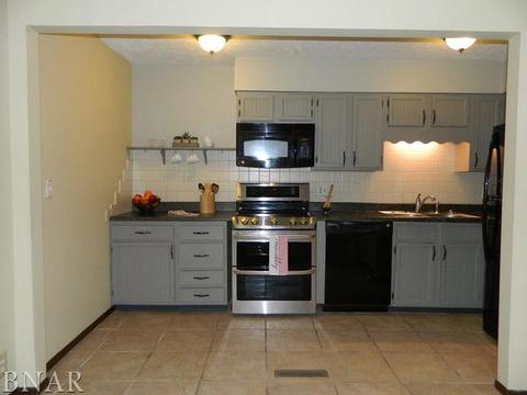 107 N Orr #D, Normal, IL 61761 photo 8