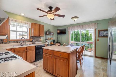 221 Martin St, Normal, IL 61761 photo 9