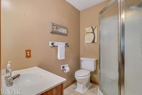 221 Martin St, Normal, IL 61761 photo 10