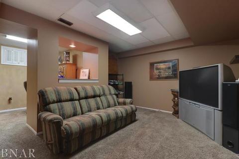 221 Martin St, Normal, IL 61761 photo 21