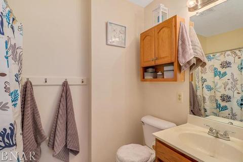 221 Martin St, Normal, IL 61761 photo 19