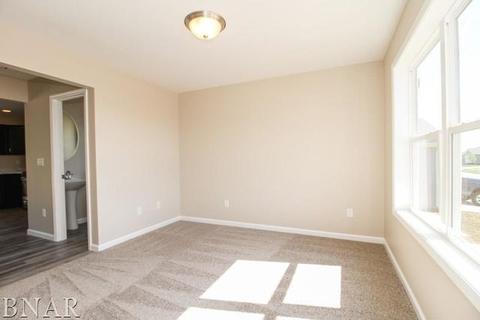 2910 Conlor, Bloomington, IL 61704 photo 9