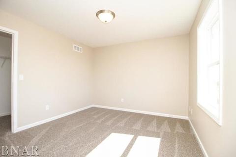 2910 Conlor, Bloomington, IL 61704 photo 22