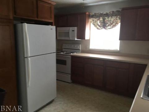 307 S Clinton, Dwight, IL 60420 photo 5