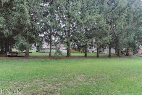 313 W Spencer, Mclean, IL 61754 photo 34