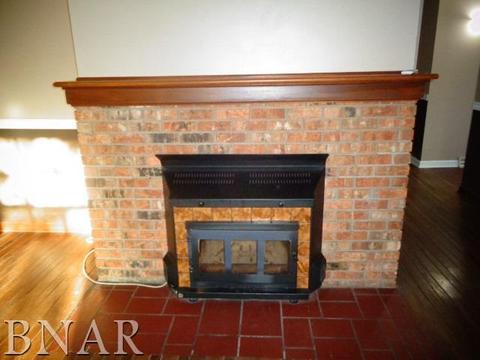 300 E School, Le Roy, IL 61752 photo 7