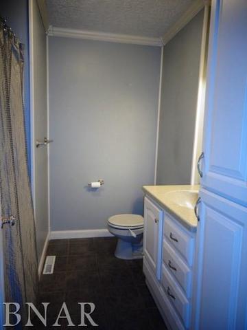 300 E School, Le Roy, IL 61752 photo 15