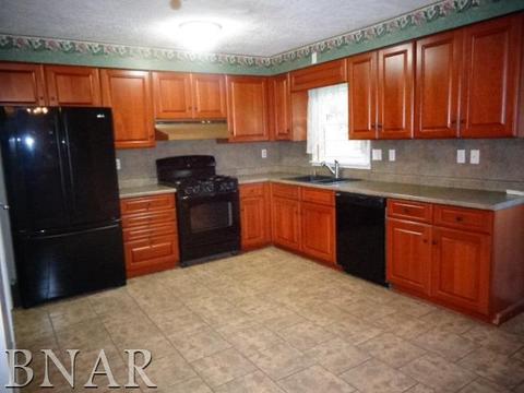 300 E School, Le Roy, IL 61752 photo 9