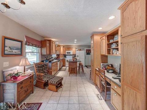 1203 Spear, Normal, IL 61761 photo 5