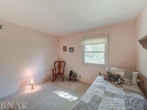1203 Spear, Normal, IL 61761 photo 27