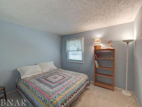 1203 Spear, Normal, IL 61761 photo 28