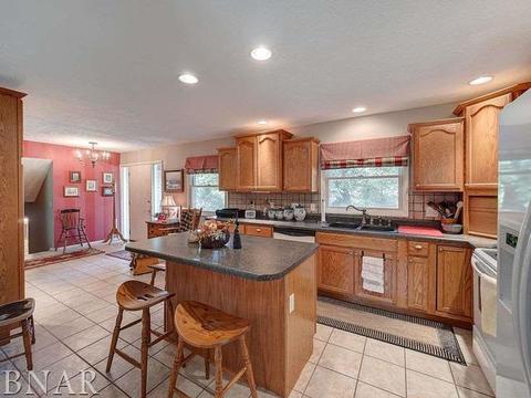 1203 Spear, Normal, IL 61761 photo 7