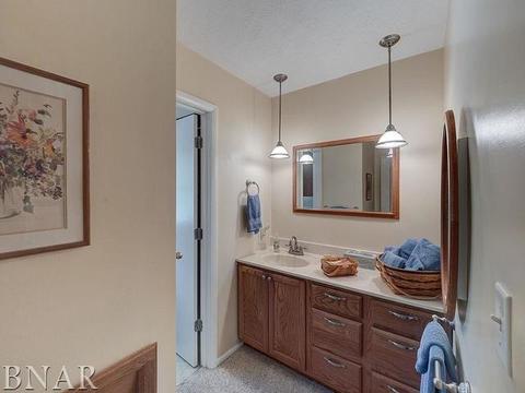 1203 Spear, Normal, IL 61761 photo 20