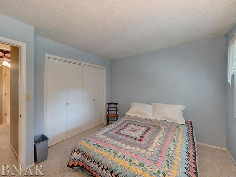 1203 Spear, Normal, IL 61761 photo 29