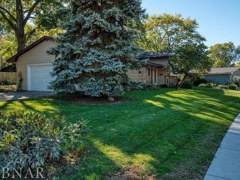 1203 Spear, Normal, IL 61761 photo 31