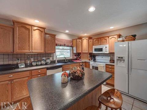 1203 Spear, Normal, IL 61761 photo 9