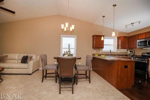 47 Winding Way, Bloomington, IL 61705 photo 7