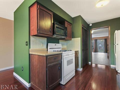1310 Kingsridge #A, Normal, IL 61761 photo 15