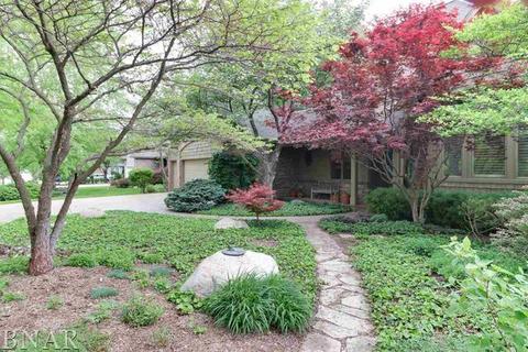 25093 Eagle Pointe, Hudson, IL 61748 photo 5
