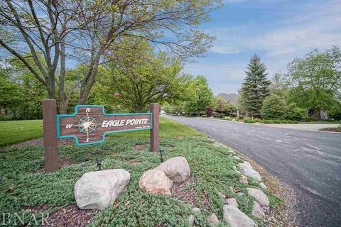 25093 Eagle Pointe, Hudson, IL 61748 photo 44