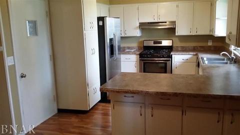 303 W Exchange, Danvers, IL 61732 photo 4