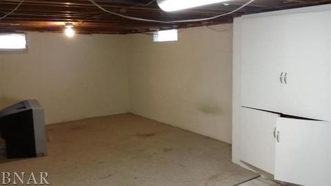 303 W Exchange, Danvers, IL 61732 photo 9