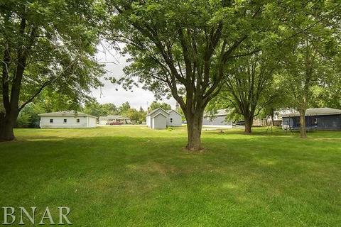 420 E 7th St, Minonk, IL 61760 photo 24