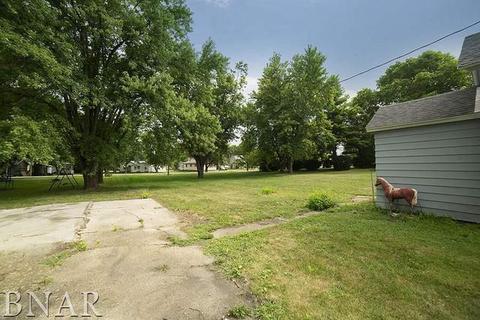 420 E 7th St, Minonk, IL 61760 photo 23