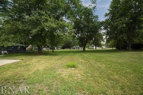 420 E 7th St, Minonk, IL 61760 photo 26
