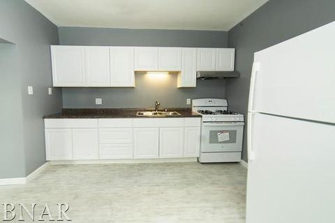 420 E 7th St, Minonk, IL 61760 photo 11