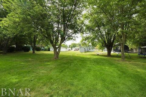 420 E 7th St, Minonk, IL 61760 photo 25