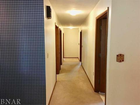 102 E Grant St, Arrowsmith, IL 61722 photo 17