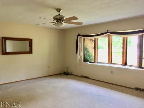 102 E Grant St, Arrowsmith, IL 61722 photo 15