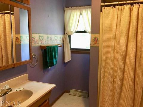 102 E Grant St, Arrowsmith, IL 61722 photo 18