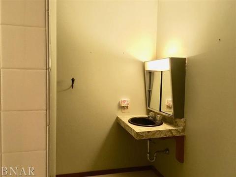 102 E Grant St, Arrowsmith, IL 61722 photo 24
