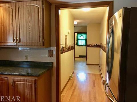 102 E Grant St, Arrowsmith, IL 61722 photo 9