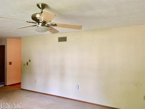 102 E Grant St, Arrowsmith, IL 61722 photo 14