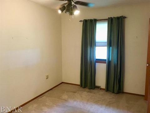 102 E Grant St, Arrowsmith, IL 61722 photo 19