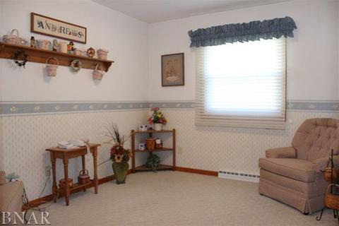 506 E Fifth, El Paso, IL 61738 photo 12