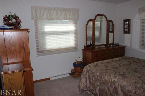 506 E Fifth, El Paso, IL 61738 photo 10