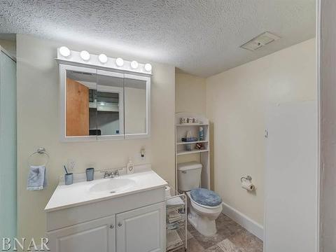 1401 N Walnut, Normal, IL 61761 photo 19