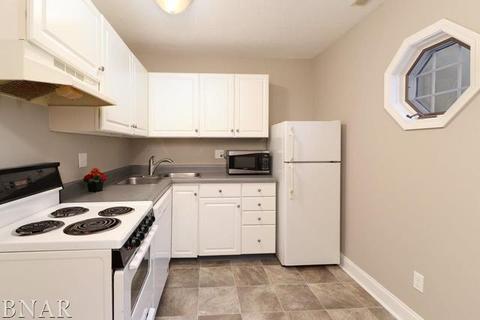 407 N Gridley #E, Bloomington, IL 61701 photo 8