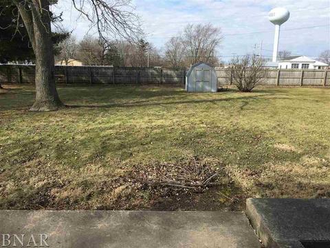 704 N Beech St, Forrest, IL 61741 photo 19