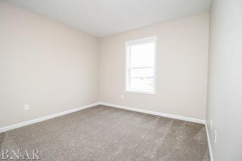2803 Conlor, Bloomington, IL 61704 photo 20