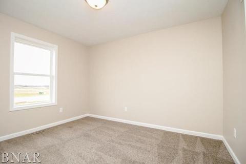 2803 Conlor, Bloomington, IL 61704 photo 16