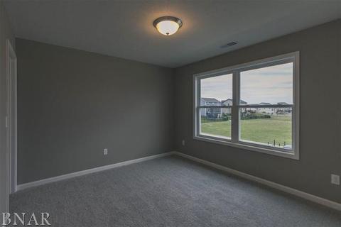 1114 Granite Way, Normal, IL 61761 photo 20
