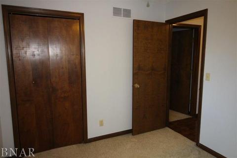 217 S Hershey, Bloomington, IL 61704 photo 10