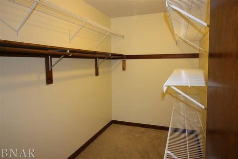 217 S Hershey, Bloomington, IL 61704 photo 17