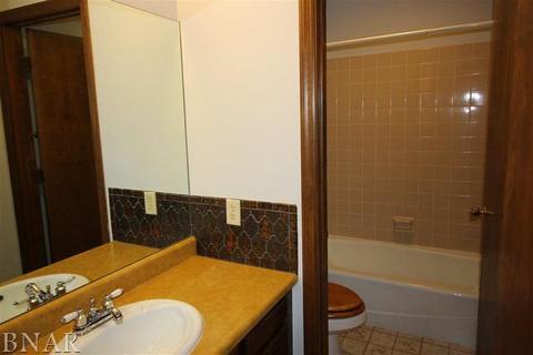 217 S Hershey, Bloomington, IL 61704 photo 13