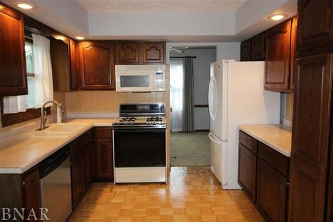 217 S Hershey, Bloomington, IL 61704 photo 5